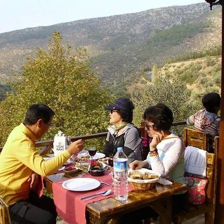 Sirincem Sakli Vadi