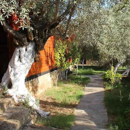 Homestay Sirincem Sakli Vadi