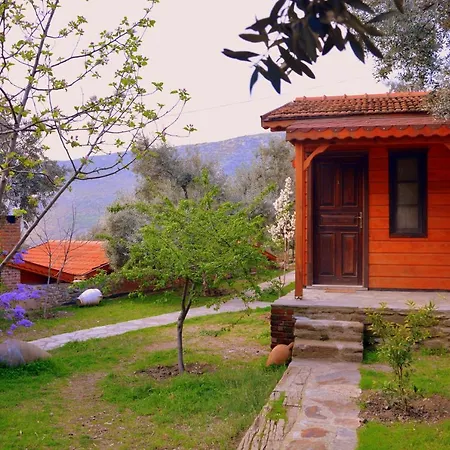 Sirincem Sakli Vadi * Selcuk