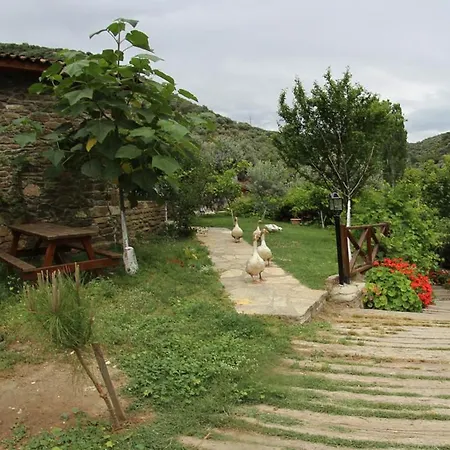 Sirincem Sakli Vadi Selcuk